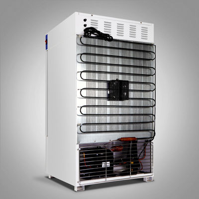 -40~65Cは実験室のための定温器110Vの医学の生物的定温器を冷却した